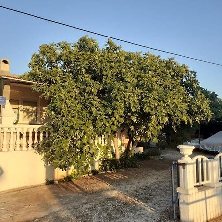 Srecko Apartman روغوزنيكا المظهر الخارجي الصورة