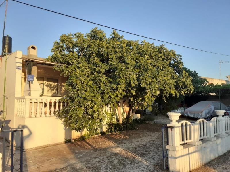 Srecko Apartman روغوزنيكا المظهر الخارجي الصورة